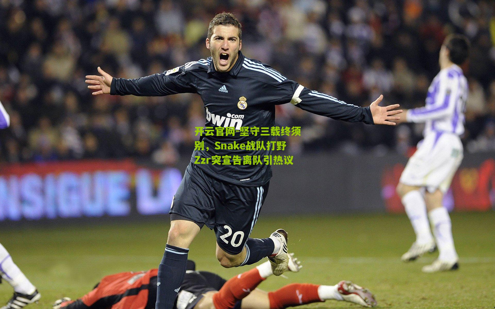 坚守三载终须别，Snake战队打野Zzr突宣告离队引热议